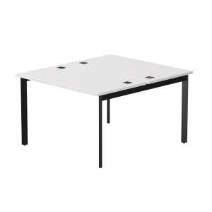 Бенч-система на 2 места Everprof EVO (ЭВО) на металлокаркасе 1180х670(1370)x755 опоры 45гр Белый/Черный