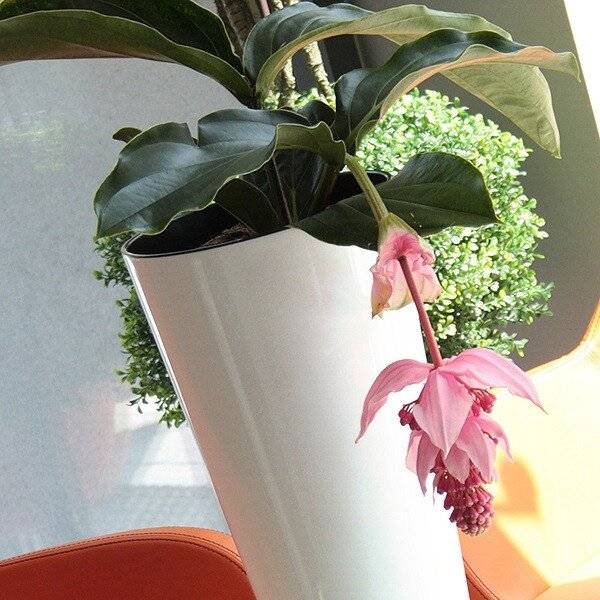 Кашпо для цветов "Prosperplast Tubus Slim Shine", белый, 27+15л Кашпо для цветов "Prosperplast Tubus Slim Shine", белый, 27+15л