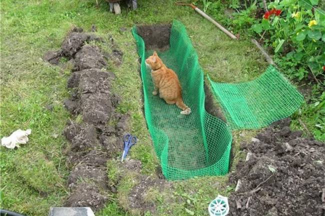 Сетка пластиковая от кротов Black Mole 1х10 м (10 кв.м.) Сетка пластиковая от кротов Black Mole 1х10 м (10 кв.м.)